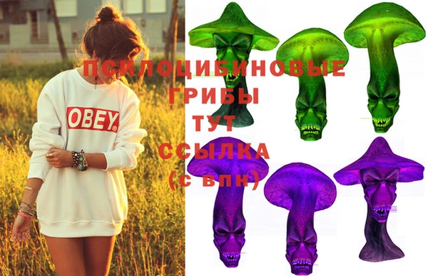 тгк Алексеевка