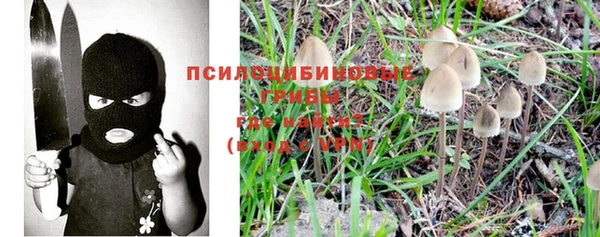 тгк Алексеевка