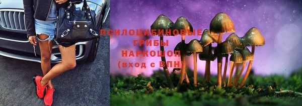 тгк Алексеевка